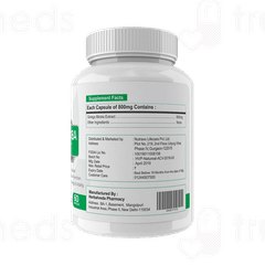Natureal Ginkgo Biloba Extract Capsule 60