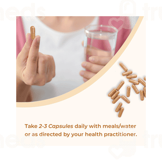 Rooted Active Naturals Cordyceps Militaris Veg Capsule 60
