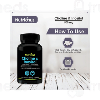 Nutriosys Choline & Inositol Veg Capsule 90