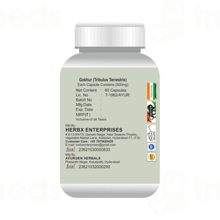 Globyherbs Gokhru Capsule 60