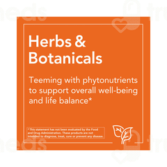 Now Saw Palmetto Extract Capsule 240