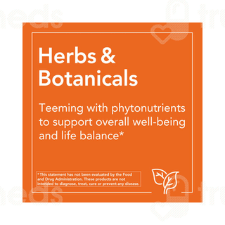Now Saw Palmetto Extract Capsule 240