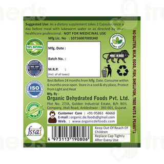 Geofresh Plant Based & Organic Diabetes Supplement Veg Capsule 60