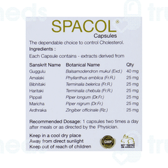 Kairali Spacol 6 Pack Of 10 Capsules