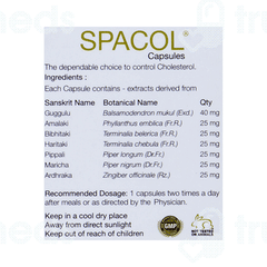 Kairali Spacol 6 Pack Of 10 Capsules