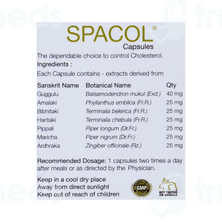 Kairali Spacol 6 Pack Of 10 Capsules