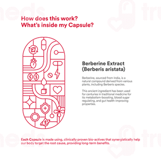 Origins Nutra Berberine Capsule 28