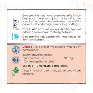 Elcon Glucosamine 500mg Capsule 60