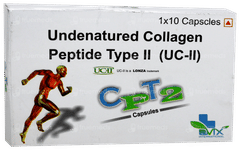 Cpt 2 Capsule 10
