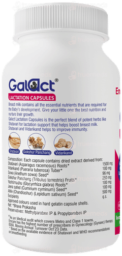 Galact Natural Capsule 60