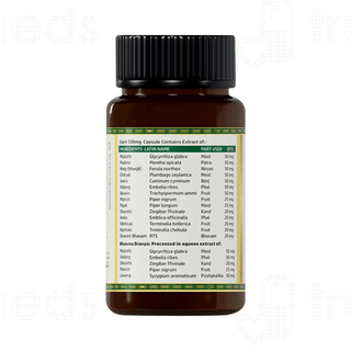 Jeena Sikho Amalpit Nashak Capsule 60