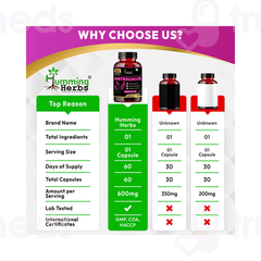 Humming Herbs Astragalus Capsule 60