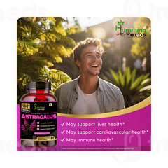 Humming Herbs Astragalus Capsule 60