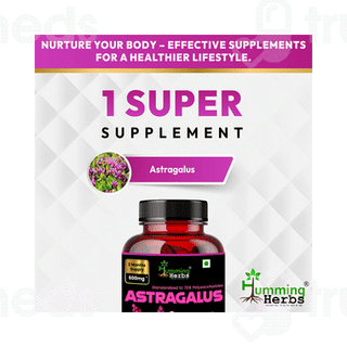 Humming Herbs Astragalus Capsule 60
