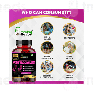 Humming Herbs Astragalus Capsule 60