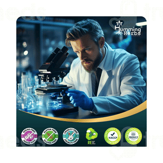 Humming Herbs Benfotiamine + Capsule 60