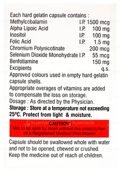 Benfica Forte Capsule 15