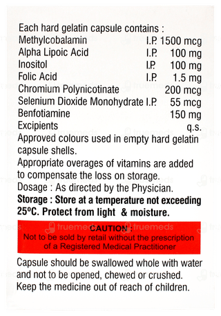 Benfica Forte Capsule 15