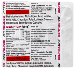 Benfica Forte Capsule 15