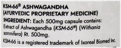 Kapiva Ayur Foods Ksm 66 Ashwagandha Capsule 60