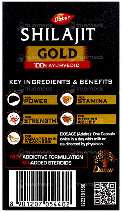 Dabur Shilajit Gold Capsule 20 +2 Free