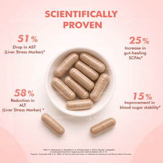 Dr Morepen Milk Thistle Capsule 60