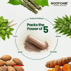 Goodcare Allergi Guard Veg Capsule 60