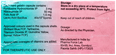 Bactoflora Bc Capsule 10