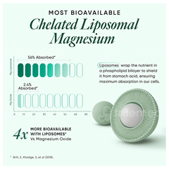 Wellbeing Nutrition Slow Magnesium + Capsule 60