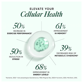 Wellbeing Nutrition Slow Magnesium + Capsule 60