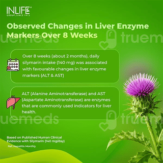 Inlife Milk Thistle 800Mg Vegetarian Capsule 60