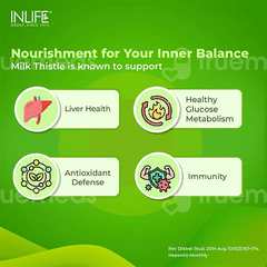 Inlife Milk Thistle 800Mg Vegetarian Capsule 60