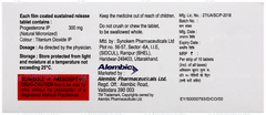 Gestofit 300Mg Sr Tablet 10