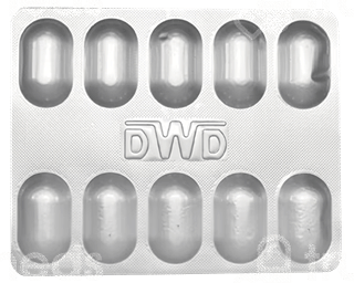 Palio D Capsule 10