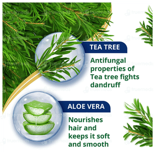Himalaya Anti Dandruff Tea Tree New Conditioner 80Ml