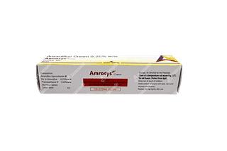 Amrosys 0.25 % Cream 15 GM