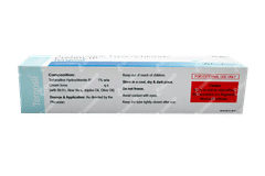 Tergosil Cream 20gm