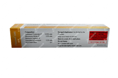 Tezcort GM Cream 15gm