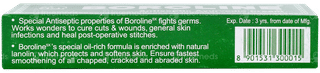 Boroline Sx Antiseptic Ayurvedic Cream 20gm