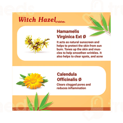 Medisynth Witch Hazel Cream 20gm