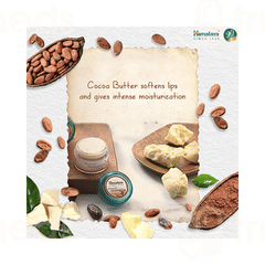 Himalaya Natural Moisturizing Lip Butter Cream 10 Gm