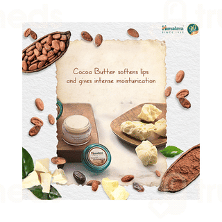 Himalaya Natural Moisturizing Lip Butter Cream 10 Gm