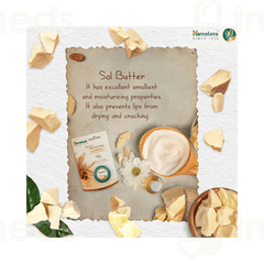 Himalaya Natural Moisturizing Lip Butter Cream 10 Gm