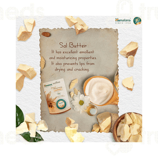 Himalaya Natural Moisturizing Lip Butter Cream 10 Gm