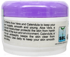 Sbls Silk N Stay Aloevera For Normal/Oily Skin Cream 200Gm