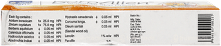Allens Boroallen Antiseptic Cream 20 Gm