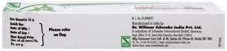 Dr Willmar Schwabe Topi Cardiospermum Helicacabum Cream 25Gm