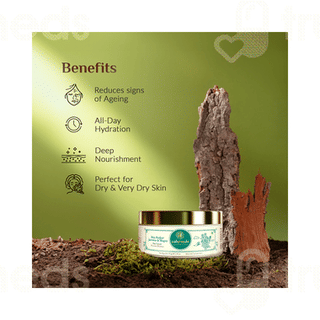 Ashpveda Skin Perfect Jasmine & Mogra Day Cream 50gm