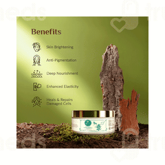 Ashpveda Skin Perfect Sandalwood & Saffron Night Cream 30gm