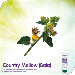 Himalaya Gentle Baby Cream 50Ml